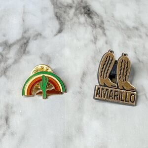 Vintage Pins Cactus Rainbow Metal Amarillo Texas Boots Plastic Western Gold